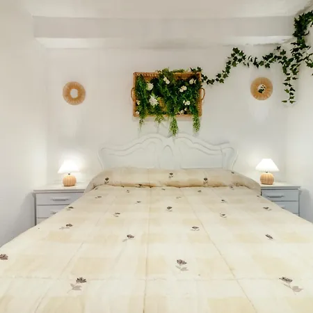 La Casa De Abuelos Salces